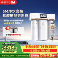 3M 反冲洗 前置过滤器