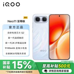 vivo iQOO Neo11至尊版  自研电竞芯片Q2 9100mAh蓝海大电池 新一代2K护眼超冠屏 乘风 12+256G