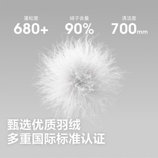波司登 B260135006 轻薄立领短款羽绒服 晴天蓝 4XL