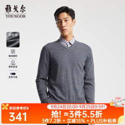 雅戈尔 男士100%全羊毛男士V领毛衣针织衫