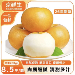 京鲜生 正宗山东莱阳秋月梨 净重8.5斤 单果400g+应季生鲜水果 源头直发