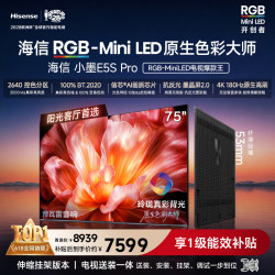 海信 小墨系列 75E5S-PRO 液晶电视 75英寸 伸缩挂架