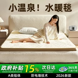 环鼎 小温泉水暖电热毯水暖毯2025水暖电褥子水循环加热炕全套
