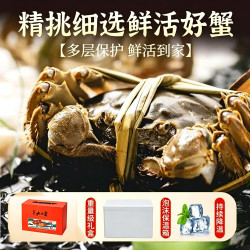 阳澄湖大闸蟹 中秋礼盒大闸蟹现货鲜活满黄螃蟹母蟹母蟹2-2.3两（6只装）