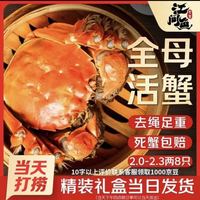江问鱼 现货全母大闸蟹2.3-2.6两 8只礼盒装（去绳足重、死蟹包赔）