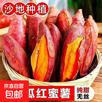 京喜 现挖沙地西瓜红蜜薯红薯新鲜农家糖心番薯烤地瓜山芋软糯批发包邮 西瓜红蜜薯1斤装 中小果