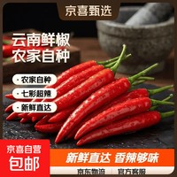 京喜 云南新鲜小米辣椒小米椒超辣五七彩辣椒指天椒特辣蔬菜农家自种  250g带箱 净重245g