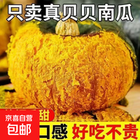 京喜 贝贝南瓜板栗味香甜软糯新鲜蔬菜生鲜中大果 贝贝南瓜 1斤 带箱