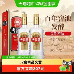 文君 52度精品文君浓香型白酒纯粮剑南春集团宴请送礼500ml*2瓶装
