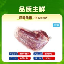 FRESH·FOUR SEASONS 原切牛腱子新鲜牛肉炖煮家庭装两斤