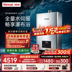 林内 JSQ40-GD72 燃气热水器 20L