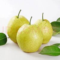 京鲜生 河北雪花梨 净重8斤 单果250g+ 生鲜水果 源头直发 包邮