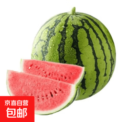 麒麟西瓜之乡郭庙西瓜美都8424新鲜麒麟瓜头茬西瓜孕妇水果 8-10斤
