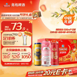 青岛啤酒 组合 啤酒组合装  组合 500mL 12罐 组合装 整箱装