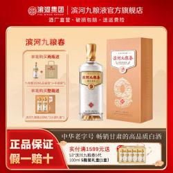 滨河九粮液 滨河九粮春 53%vol 其他香型白酒 500ml