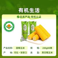 天勤粒粒净 天勤粒粒有机净黄糯玉米200g*8根粗粮早餐26年低脂粘玉米真空装