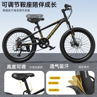 凤凰 星驰单速辐条轮儿童自行车 黑色 16寸