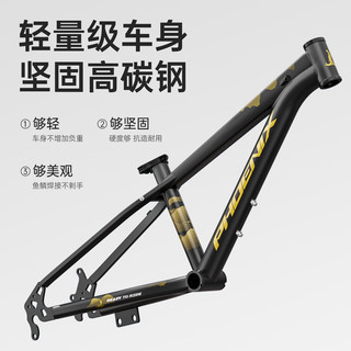 凤凰 星驰单速辐条轮儿童自行车 黑色 16寸