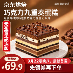 九重巧克力雷霆大蛋糕（无奶冻布蕾版）很nb的jd蛋糕