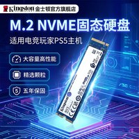移动端：金士顿 NV1 NVMe M.2 固态硬盘（PCI-E3.0）
