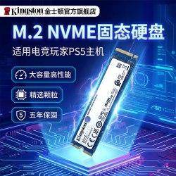 金士顿 NV1 NVMe M.2 固态硬盘（PCI-E3.0）