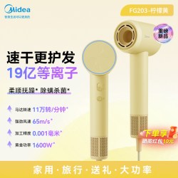 美的 FG208 电吹风 深空灰