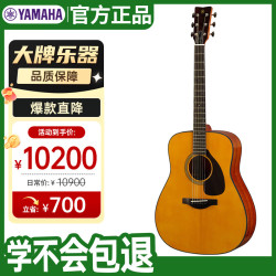 YAMAHA FG系列 FG5 民谣吉他 41英寸 原木色