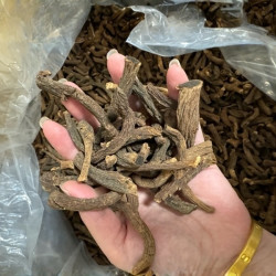 长白山原产地黑参腿黑参片金边特色滋补品