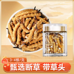 冬虫夏草 新干断虫草 高海拔头茬自用官方旗舰店正品