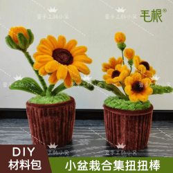 教师节 向日葵小雏菊可爱小盆栽扭扭棒手工DIY材料包(不含纸杯）