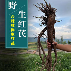 甘肃岷县切片野生老红芪品质250-500克滋补大片
