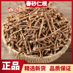 春砂仁根正宗春砂仁干根农家特产晒干无硫滋补煲汤煮水
