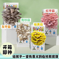 蘑菇种植菌包儿童蘑菇玩具科学小实验平菇观察日记
