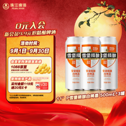 珠江啤酒 比利时风味 白啤酒  整箱装 1x3x500ml 500ml