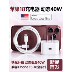 萨勒芬妮 苹果USB-C充电器超级快充 2米编织线+40W动态快充头