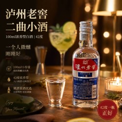 泸州老窖 二曲 100ml 42度 微醺小酒调酒基酒