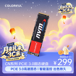 七彩虹 CN600 NVMe M.2 固态硬盘 256GB（PCI-E3.0）