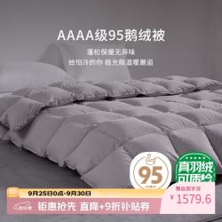 霞珍 95鹅绒被子 轻音保暖双人被芯 适宜室温10-15℃ 冬被-220*240cm-填充1100g 冬被