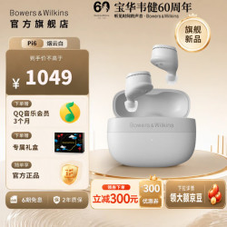 宝华韦健 Pi6 入耳式真无线主动降噪蓝牙耳机 烟云白