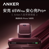 Anker 安心充Pro+ 氮化镓快充 黑色 45W Type-C充电器