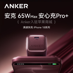 Anker 安心充Pro+ 氮化镓快充 黑色 45W Type-C充电器