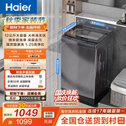 海尔 初色2.0系列 XQB120-BZ20D1 变频波轮洗衣机 12kg 星蕴银