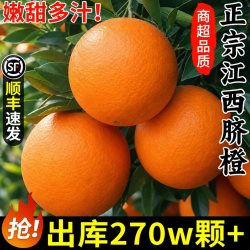 顾一 正宗江西脐橙当季时令水果新鲜甜专用橙子夏橙湖北包邮