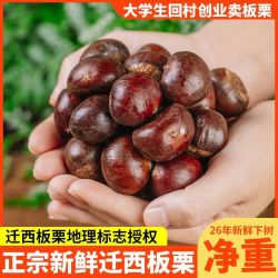 彩箱装老德号26年新鲜带壳迁西板栗净重2斤单斤40-45粒地标认证