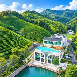 安吉清心谷白茶庄园茗云楼·清宁山色双床房2晚(连住)