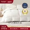 Interlagos ERB98-05 羽绒被 150X210cm 天蓝色