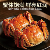 值友专享：阳澄漪涟 大闸蟹 公3.0-3.3两 母2.0-2.3两 8只装