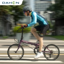 大行 SP18 20英寸18速 折叠自行车