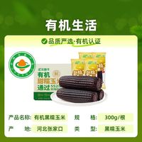 金沃瑞丰 有机新鲜黑糯黏甜玉米300g*5/8根真空装