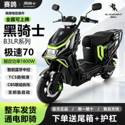 赛鸽 黑骑士电动车B3L换电版 支持大单体锂电外卖专用车 （电摩版）赛鸽黑骑士B3LR（裸车不含电池）